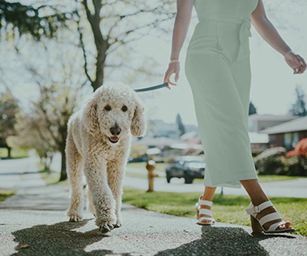 A lady walking her dog.