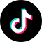 TikTok Icon